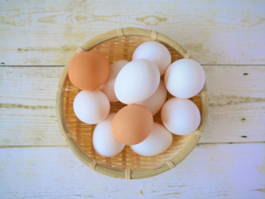 卵にはどんな栄養素が含まれている？