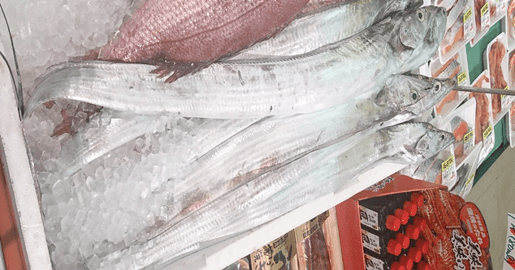 太刀魚の栄養とレシピ 血液サラサラ効果に期待 公式 まごころケア食