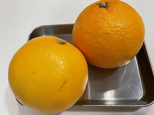 グレープフルーツジュース｜香りとほろ苦さが大人の柑橘