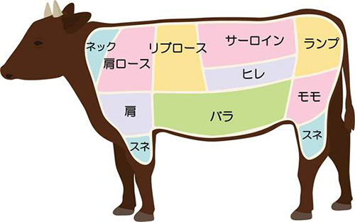 牛肉の代表的な部位とその特徴