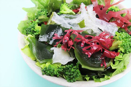 海藻の栄養を上手にとる食べ方は？